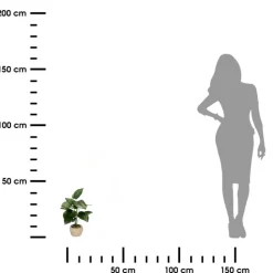 Filodendron sztuczny w ozdobnej donicy 40 cm
