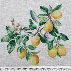 Firana zazdrostka CLOE 90x150 cm koronka * EUROFIRANY B.B. Choczyńscy Sp.J. Outlet