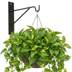 Hak do donic wiszących i lampionów czarny 21 cm