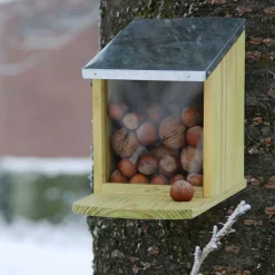 Karmnik dla wiewiórek