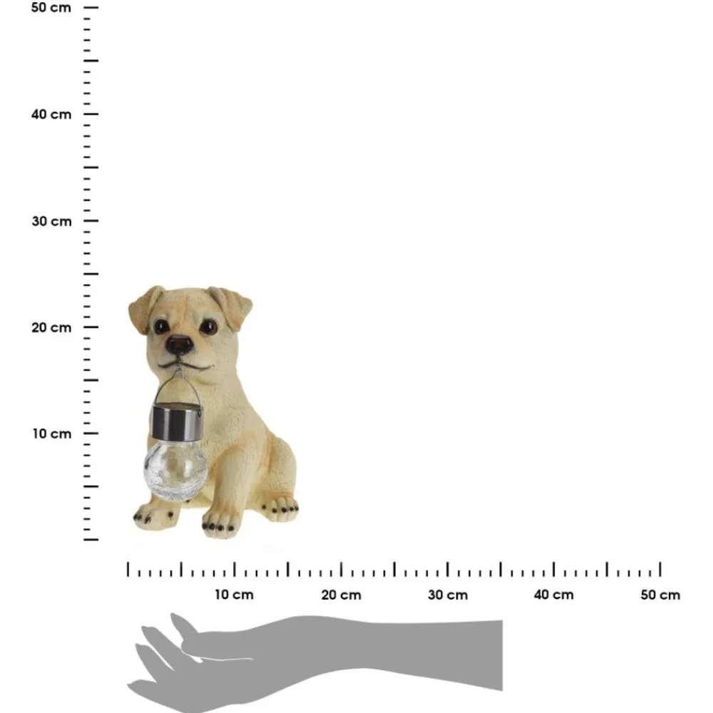Kremowy labrador z latarenką 24 cm * Progarden Hot