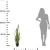 Kwiat sztuczny Sanseviera w donicy 92 cm * Progarden Hot