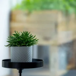 Kwietnik parapetowy z zaciskiem czarny S * Esschert Design Outlet