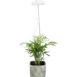 Lampa LED do wzrostu roślin regulowana