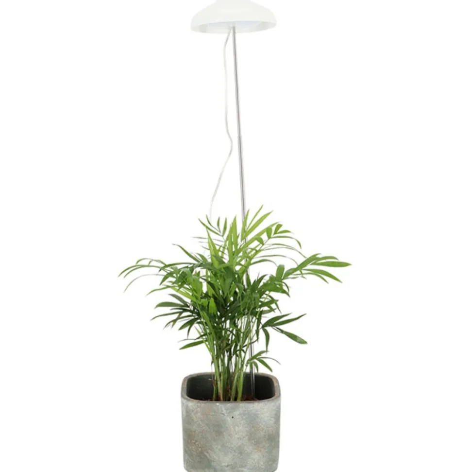 Lampa LED do wzrostu roślin regulowana