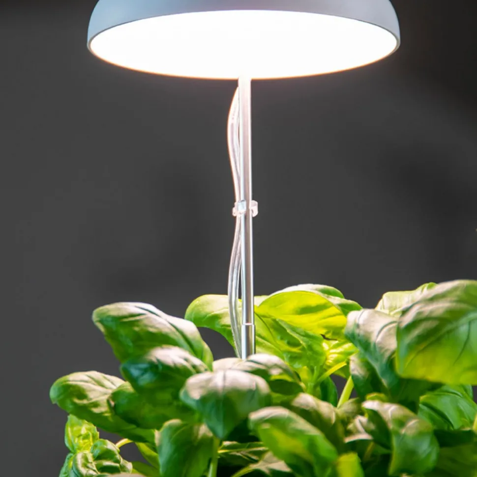 Lampa LED do wzrostu roślin regulowana