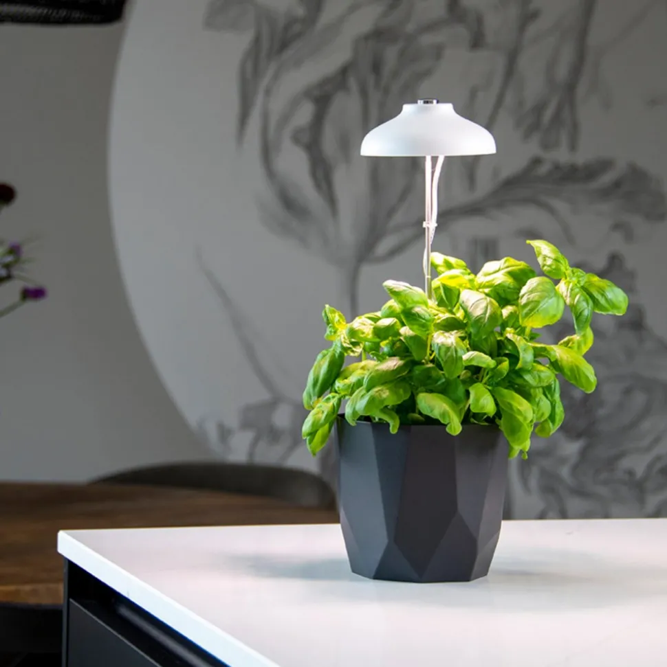 Lampa LED do wzrostu roślin regulowana