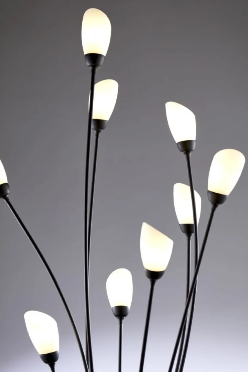 Lampa podłogowa GLORIOSA czarny mat 9xG9