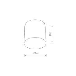 Lampa Sufitowa POINT PLEXI Biały 1xGU10