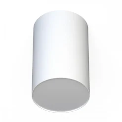 Lampa Sufitowa POINT PLEXI L Biały 1xE27 IP20