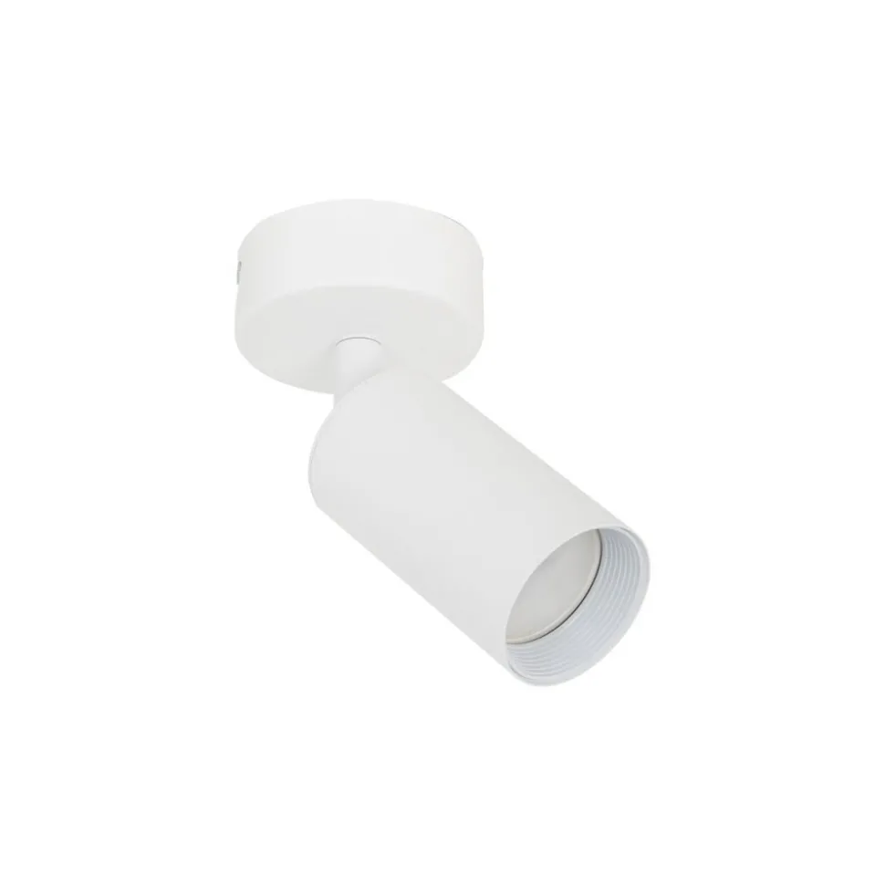 Lampa sufitowa Spot AMIS biała 1xGU10 regulowana