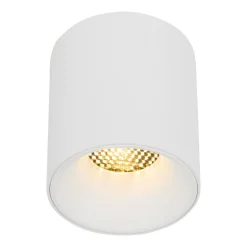 Lampa sufitowa Spot BLAZE biała CCT 1xLED 12W
