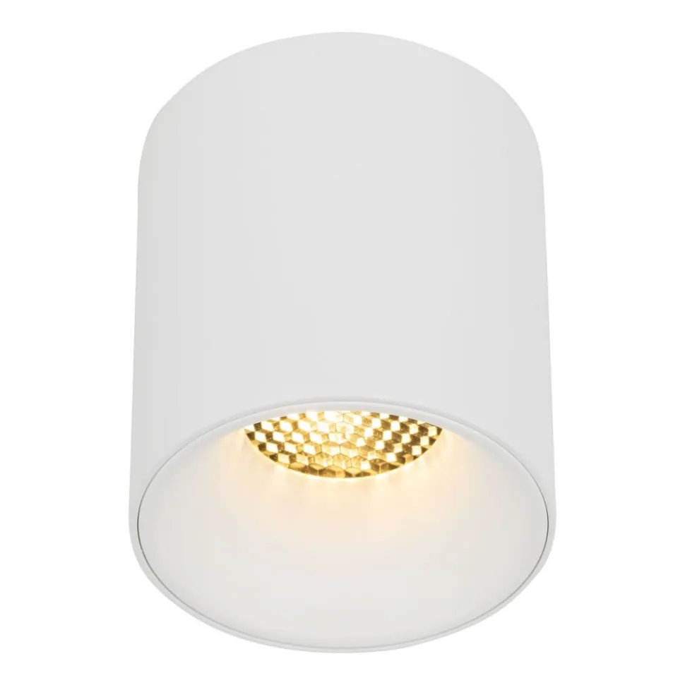 Lampa sufitowa Spot BLAZE biała CCT 1xLED 12W