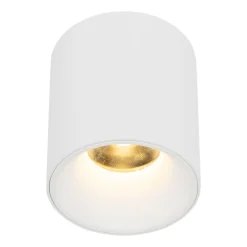 Lampa sufitowa Spot BLAZE biała CCT 1xLED 12W