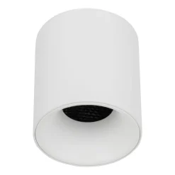 Lampa sufitowa Spot BLAZE biała CCT 1xLED 12W