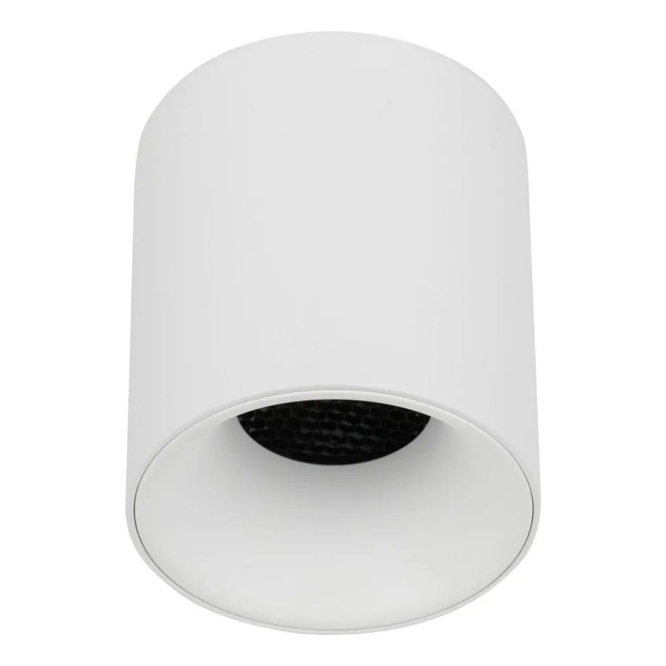 Lampa sufitowa Spot BLAZE biała CCT 1xLED 12W