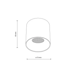 Lampa sufitowa Spot BLAZE biała CCT 1xLED 12W