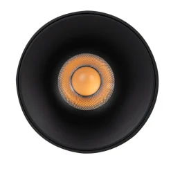 Lampa sufitowa Spot BLAZE czarna CCT 1xLED 30W
