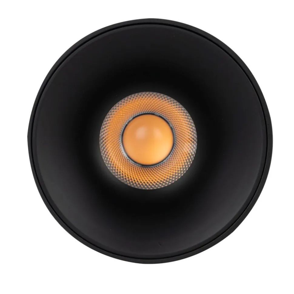 Lampa sufitowa Spot BLAZE czarna CCT 1xLED 30W