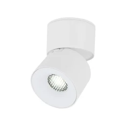 Lampa sufitowa Spot SPARK biała CCT 1xLED 10W