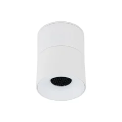 Lampa sufitowa Spot SPARK biała CCT 1xLED 10W