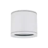 Lampa sufitowa Spot VIVO biała 1xGX53