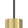 Lampa Wisząca RAITO Złoty Czarny 1xGU10