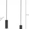 Lampa Wisząca TULUZA Czarny Srebrny Szklane Klosze 2xE27