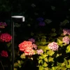 Lampa ogrodowa RUBY LED czarna 7W IP54 * Nowodvorski