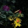 Lampa ogrodowa SLIM LED czarna 7W IP54 3000K * Nowodvorski Discount