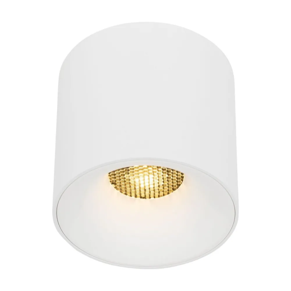 Lampa sufitowa Spot BLAZE biała CCT 1xLED 30W * TK Lighting Outlet