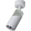 Lampa Sufitowa Spot NEO Biały Srebrny * Eko-light Online
