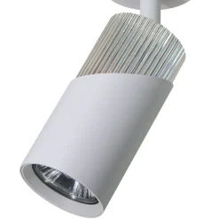 Lampa Sufitowa Spot NEO Biały Srebrny * Eko-light Online