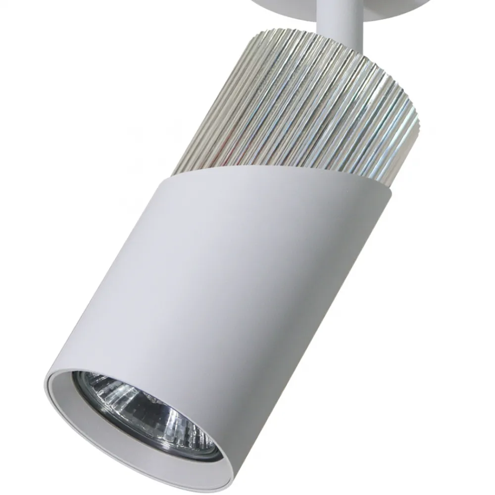 Lampa Sufitowa Spot NEO Biały Srebrny * Eko-light Online