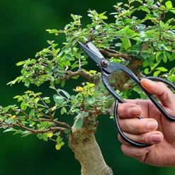 Nożyce do przycinania drzewek Bonsai * Esschert Design New