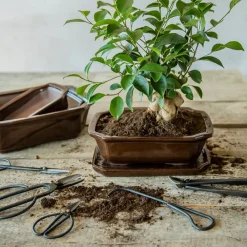 Nożyce ogrodnicze do bonsai * Esschert Design Best