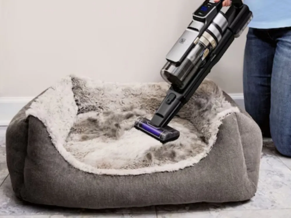 Odkurzacz pionowy BSV525BLP-QW * BLACK+DECKER Online