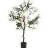 Oliwne drzewko w donicy duże 120 cm