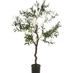 Oliwne drzewko w donicy duże 120 cm