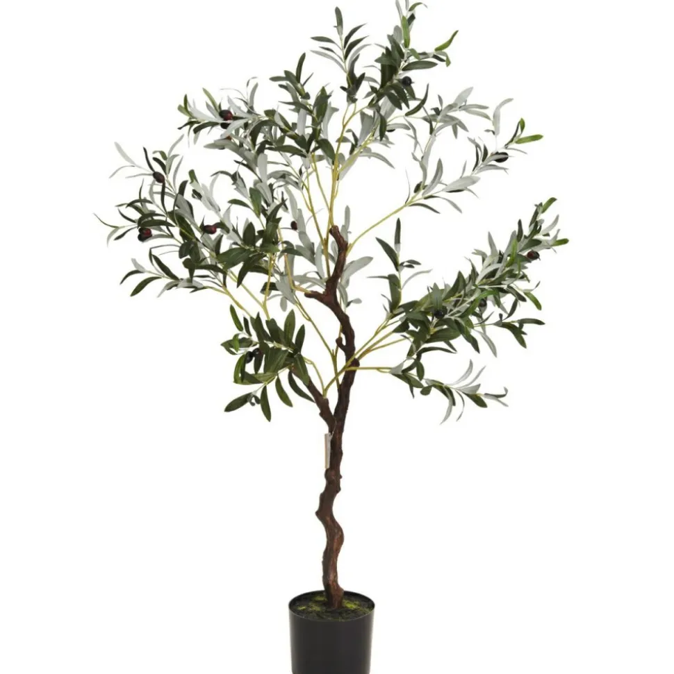 Oliwne drzewko w donicy duże 120 cm