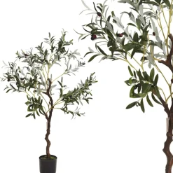 Oliwne drzewko w donicy duże 120 cm