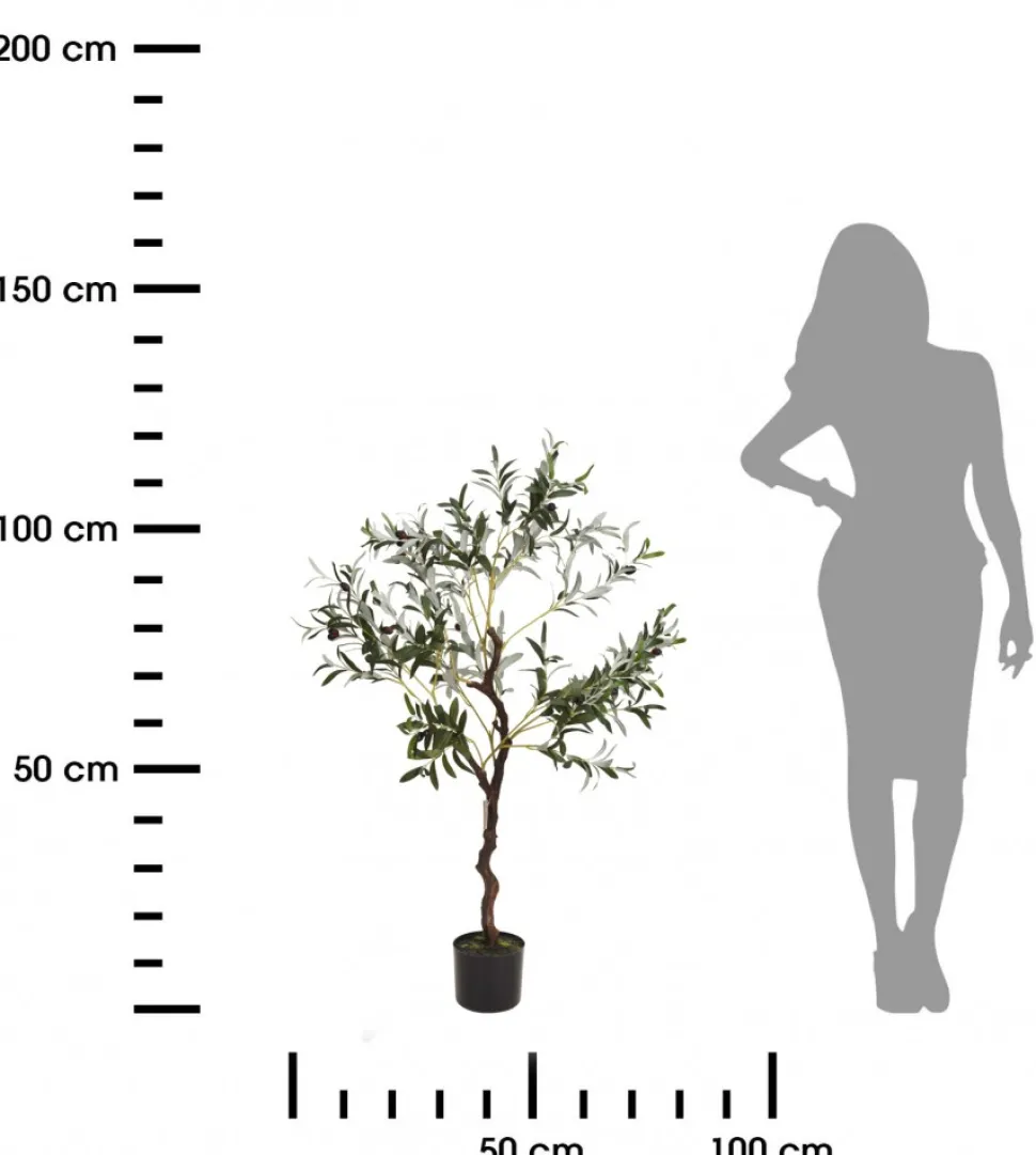 Oliwne drzewko w donicy duże 120 cm