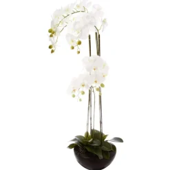 Orchidea w czarnej doniczce 115 cm