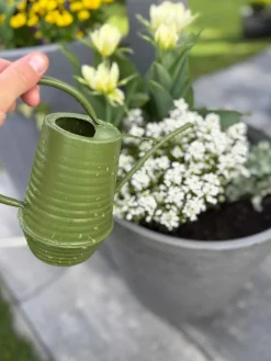 Ozdobna konewka ciemno zielona 1L * Esschert Design Clearance