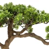 Ozdobne drzewko Bonsai 45cm Polin * Atmosphera Outlet