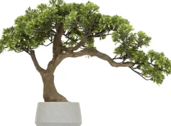Ozdobne drzewko Bonsai 45cm Polin * Atmosphera Outlet