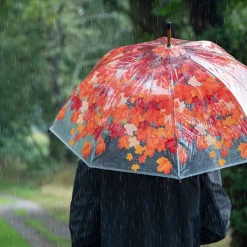 Parasol transparentny jesienne liście