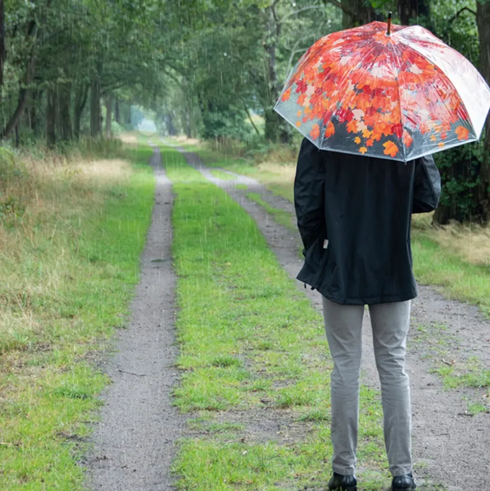 Parasol transparentny jesienne liście