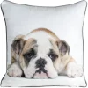 Poszewka ANIMAL/81 45x45 cm buldog * EUROFIRANY B.B. Choczyńscy Sp.J. Hot
