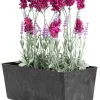 Skrzynka na kwiaty Salvia czarny beton 28,5x17 cm